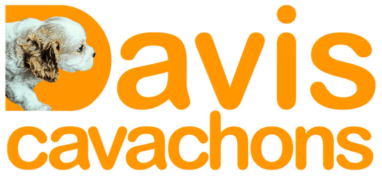 DavisCavachons,luxpro, LuxPro.eu